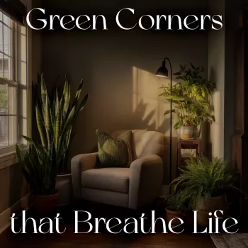 Corner House Planting Ideas for Sun, Shade & Small Beds